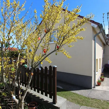 Mohnblume In Засниц